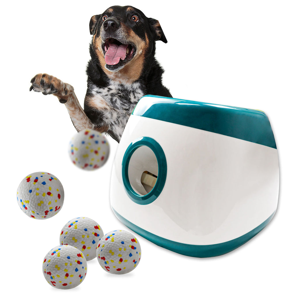 Dog playing with a toy dispenser and colorful balls on a white background
