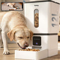 Dog eating from a white automatic pet feeder with a smartphone app interface.