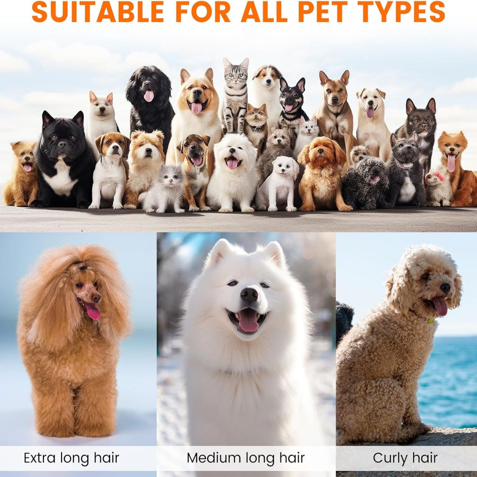 Group of dogs with text 'Suitable for all pet types' and close-ups of dogs with different hair types.