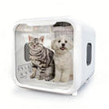 Pet carrier with a cat and a dog inside on a white background