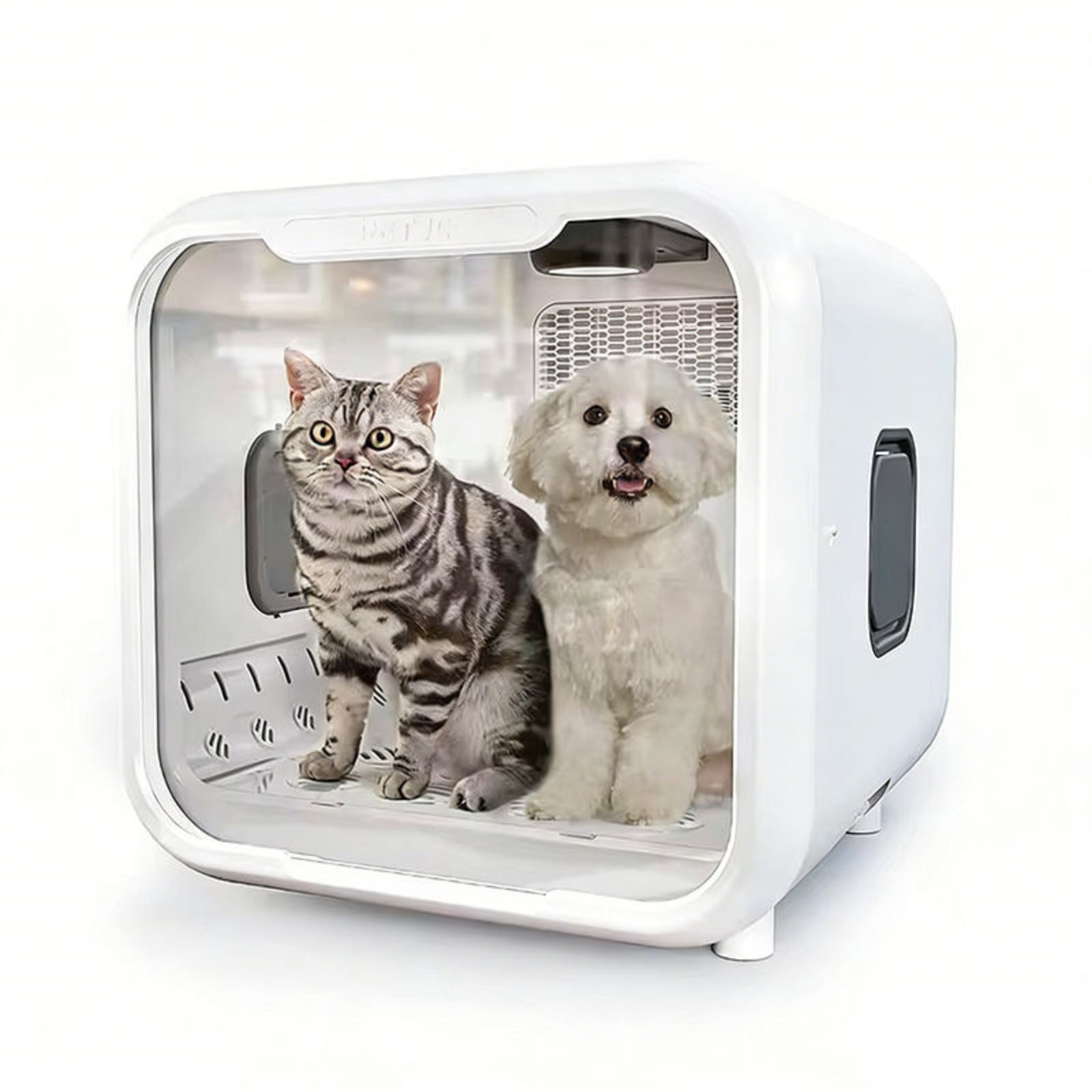 Pet carrier with a cat and a dog inside on a white background