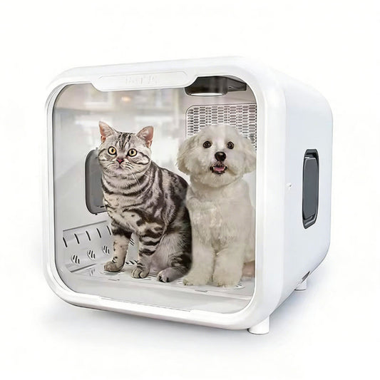 Pet carrier with a cat and a dog inside on a white background
