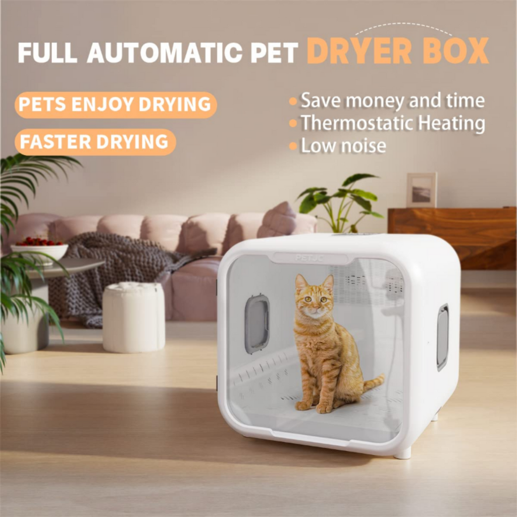 Full automatic pet dryer box with a cat inside, placed on a wooden floor in a living room setting.